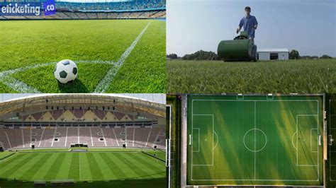 FIFA aims for the perfect pitch at 2026 World Cup following fields .